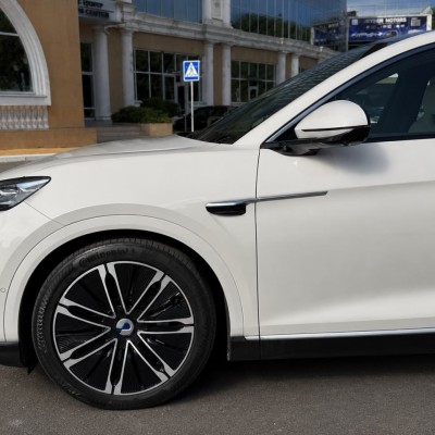 Экстерьер